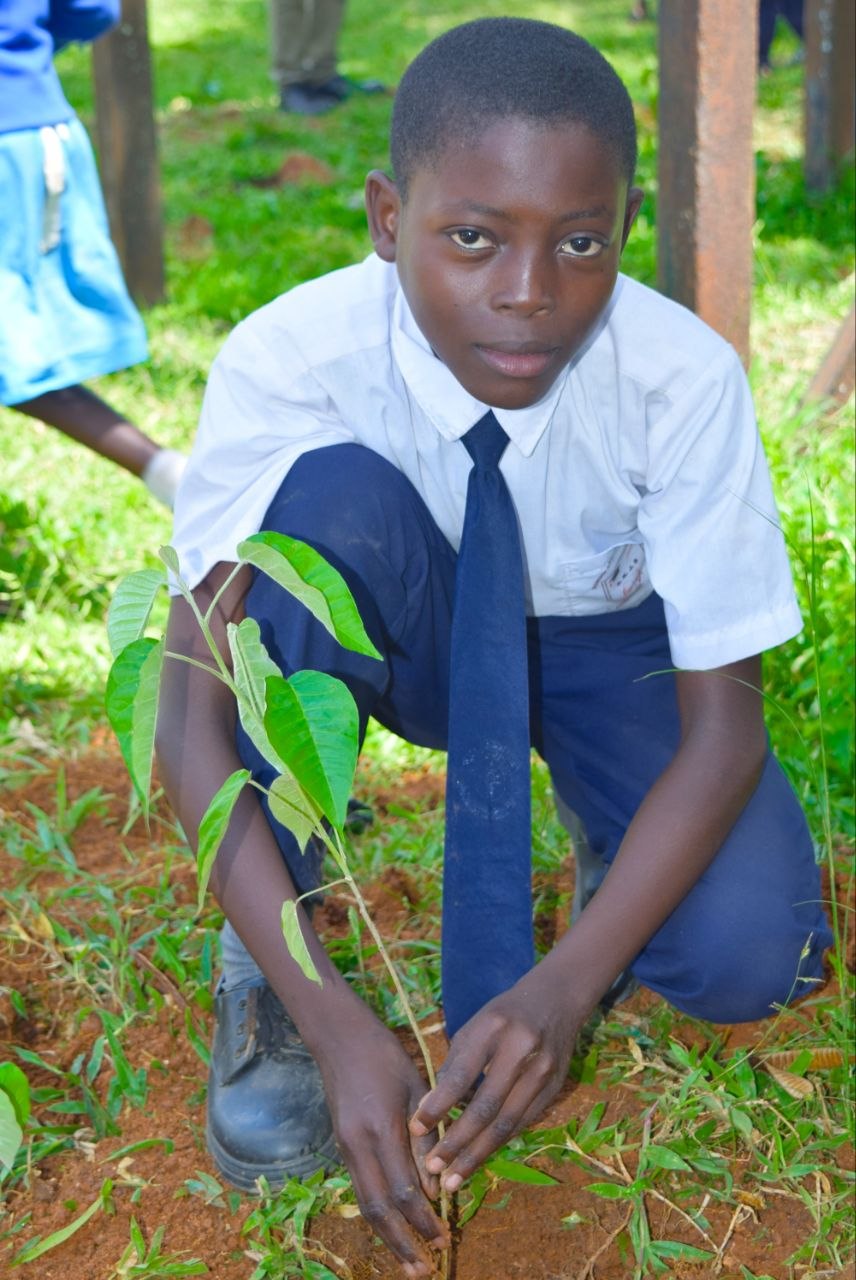 Environmental Activity