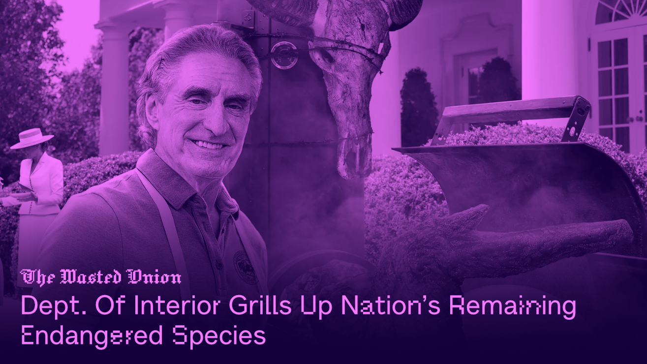 onion.png