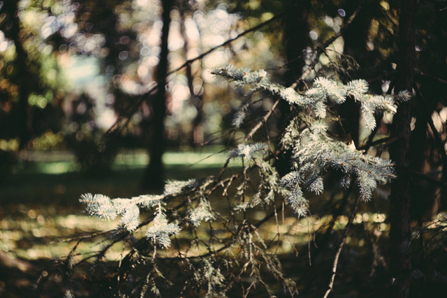 IMG 7570 2