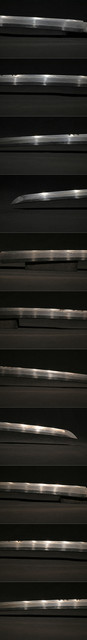 DSC4312.jpg
