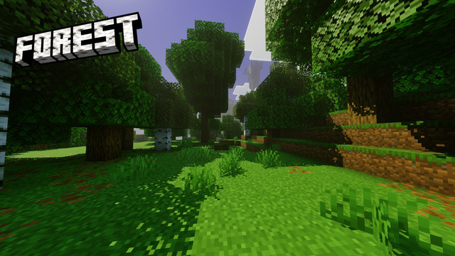 forest