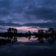 DSC05446