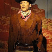 wayne INwax