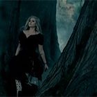 41.gif