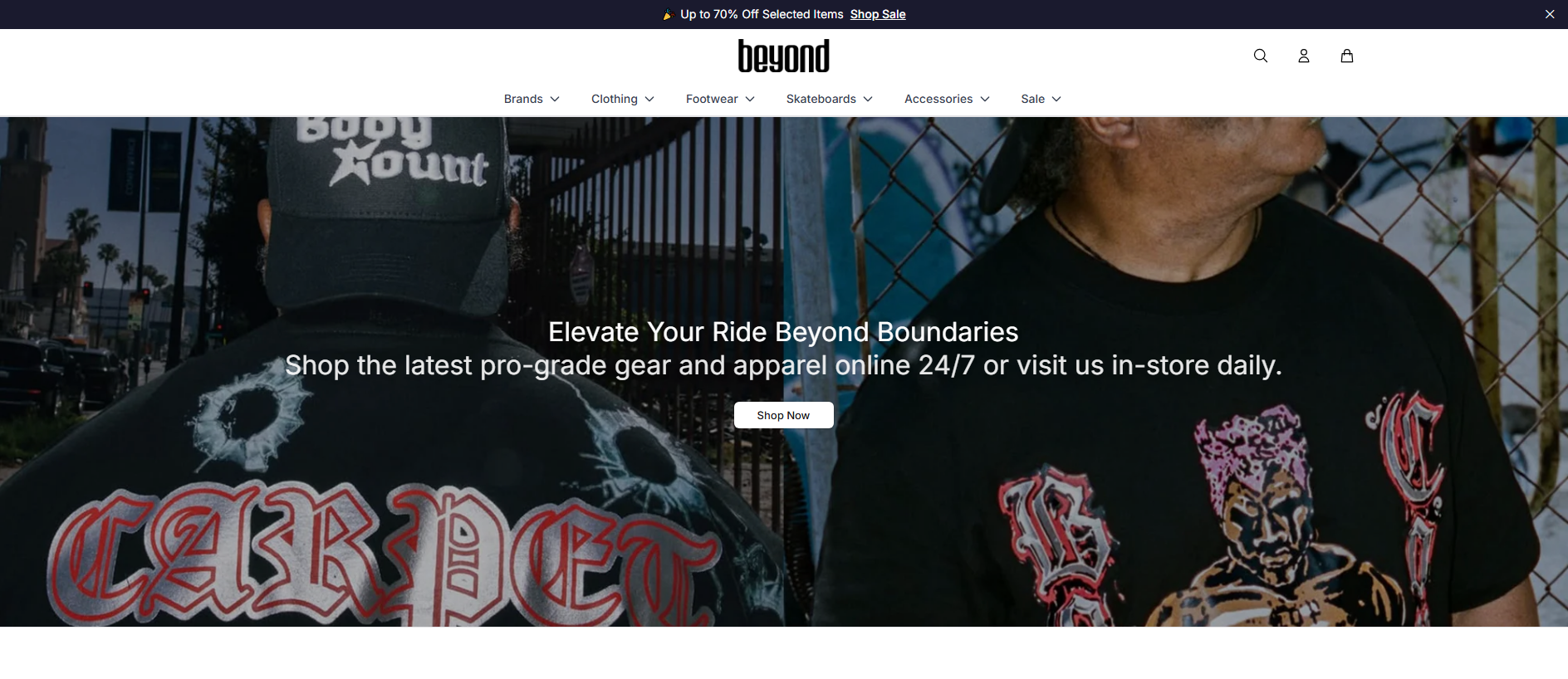 Primary capture · beyondskateworld.shop