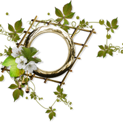cluster-frame-401