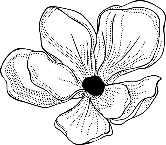 07951d293c43cb311d911afb4e1acb9a.png