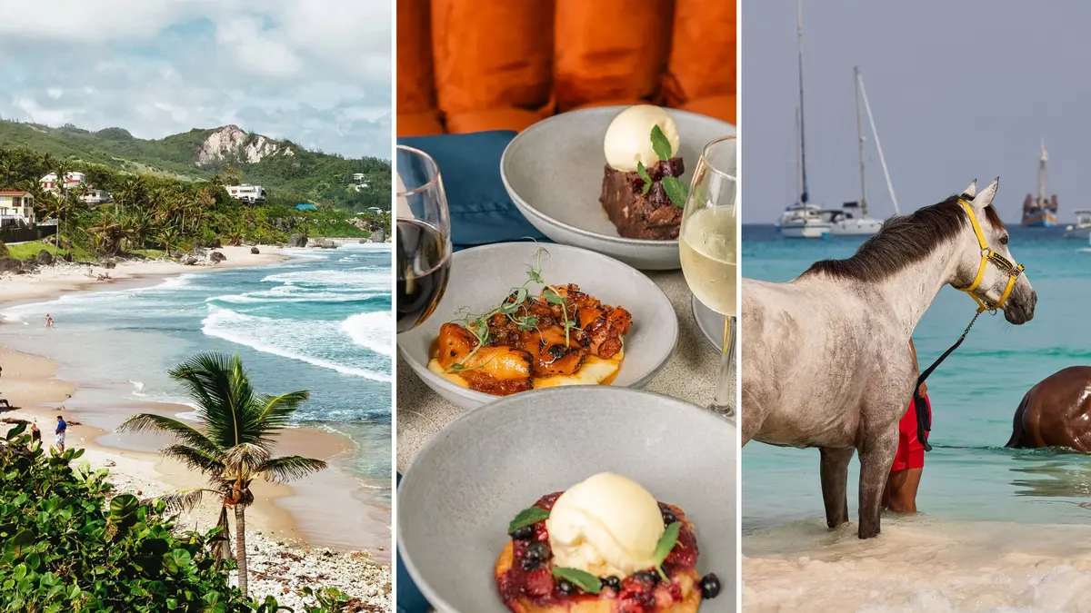 Barbados: A Guide to Island Adventures and Culinary Delights