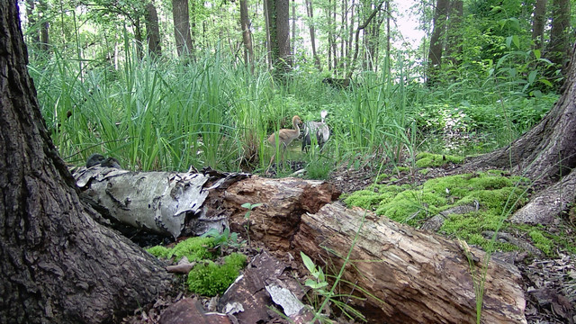 DSCF0568.jpg