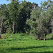 DSC 0115