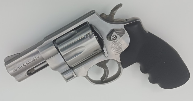 629 5 fixed sight 1.jpg