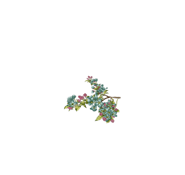 168.png