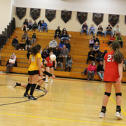 IMG-0065