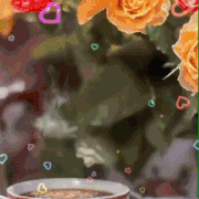 28-01.gif