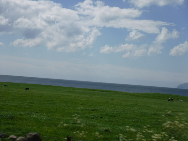 DSCF7945.jpg