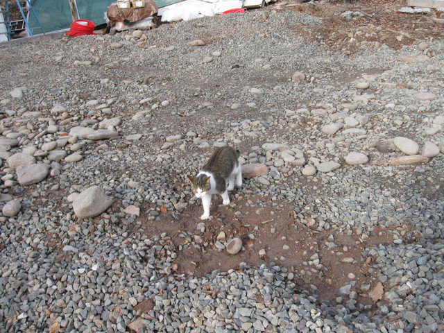 IMG-1279