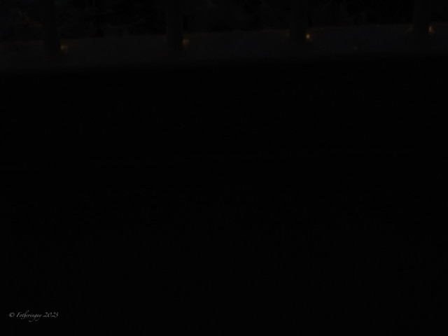 IMG 1504.jpg