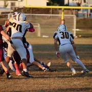 IMG-1536