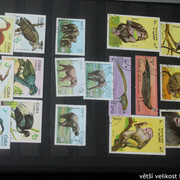 IMG-2227