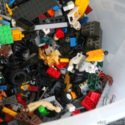 IMG-8831