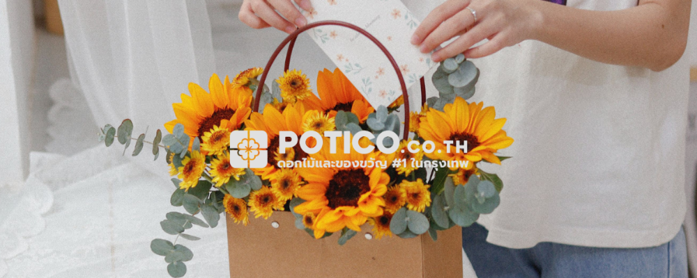Sunflower Gift