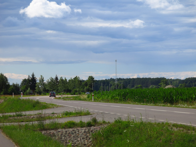 IMG-3961