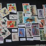 IMG-3548