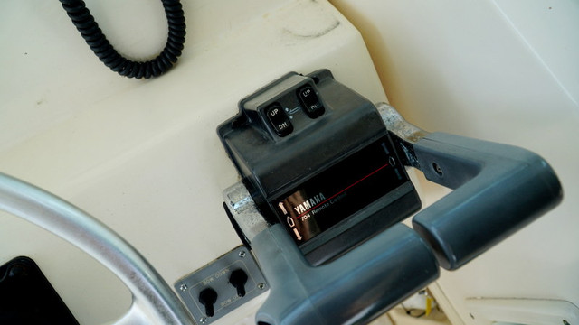 DSC01195.jpg