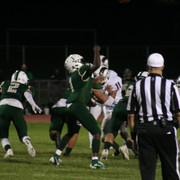 IMG-6530
