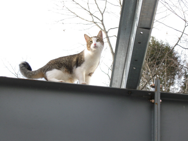 IMG-1292.jpg