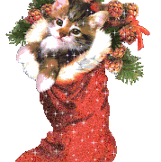 noel-099