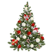 tree-removebg-preview