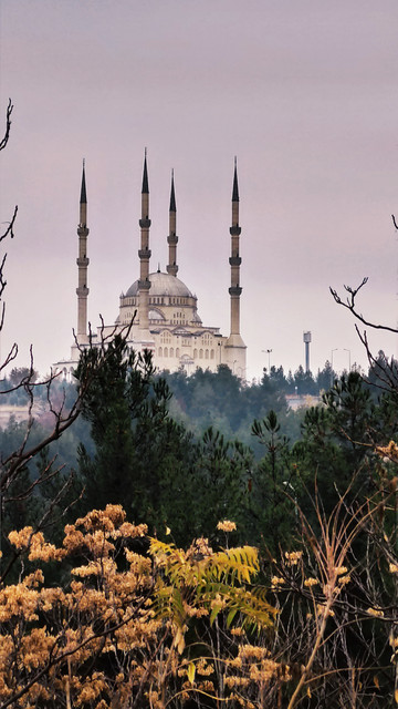IMG-20201214-110616
