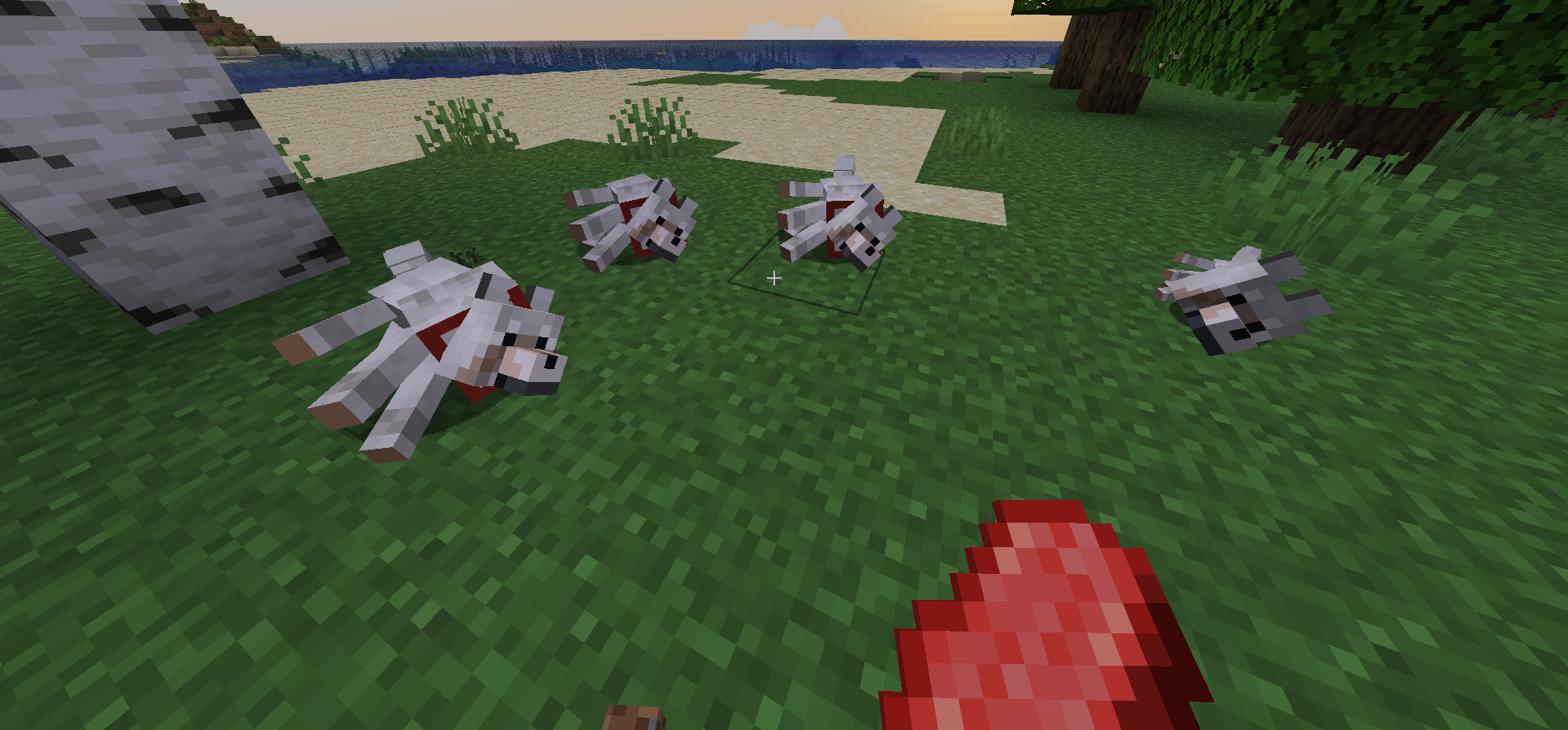 Dogs laying down on the grass 2