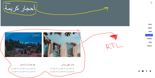blogs-categry-RTL-issue
