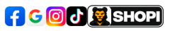 Partner 3