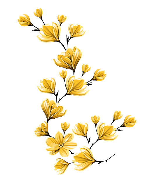 a505ddcf48c5d981caa63afd4e54319f.png