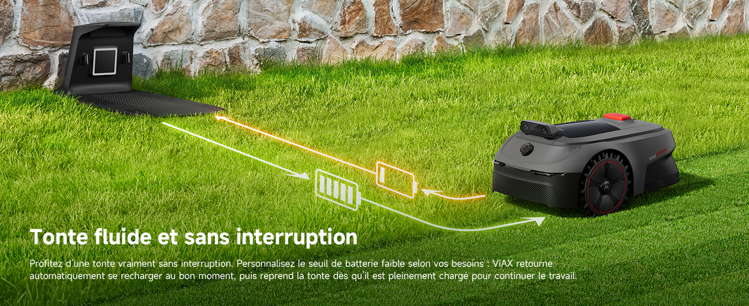 Seamless Lawn Coverage