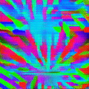 IMG 7531.jpg