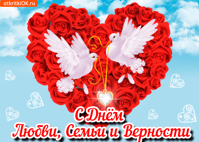 https://i.ibb.co/4wBCKnxc/IMG-5321.gif