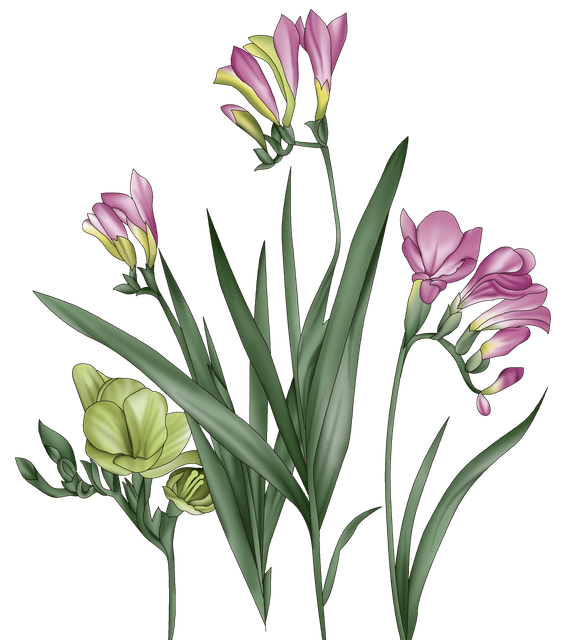 c2dcac7d8b5a443f35df35529ec49a97.png