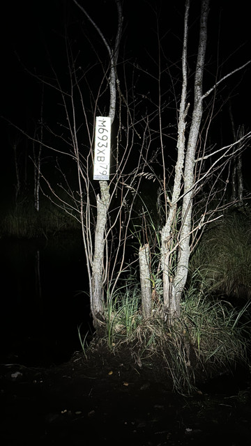 IMG 5664.jpg
