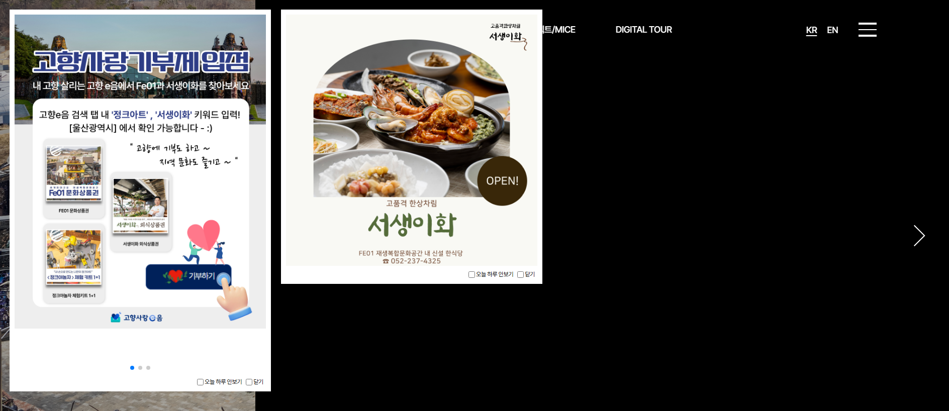 Forensic screenshot of fe01.co.kr showing the phishing page layout