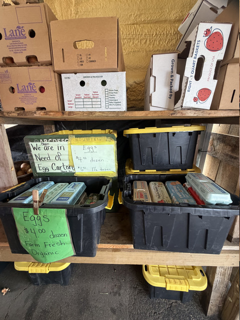 Berry pints and egg cartons stocked at DJ's Fresh Market farm stand, Appleton Wisconsin