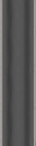 entrance path 2.png