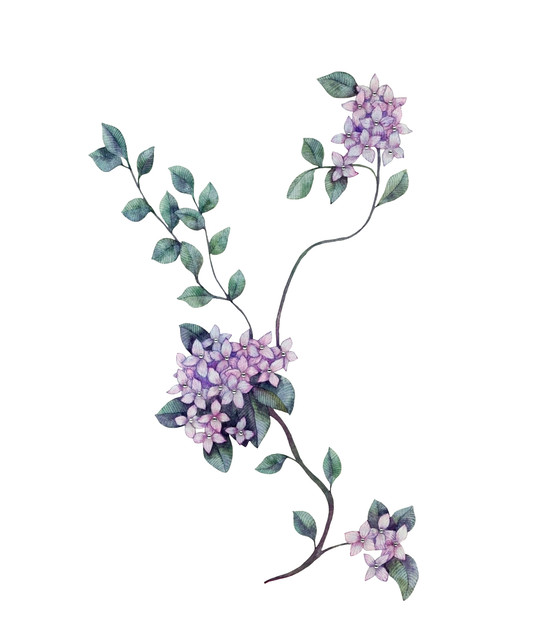 shutterstock 1712625988.jpg