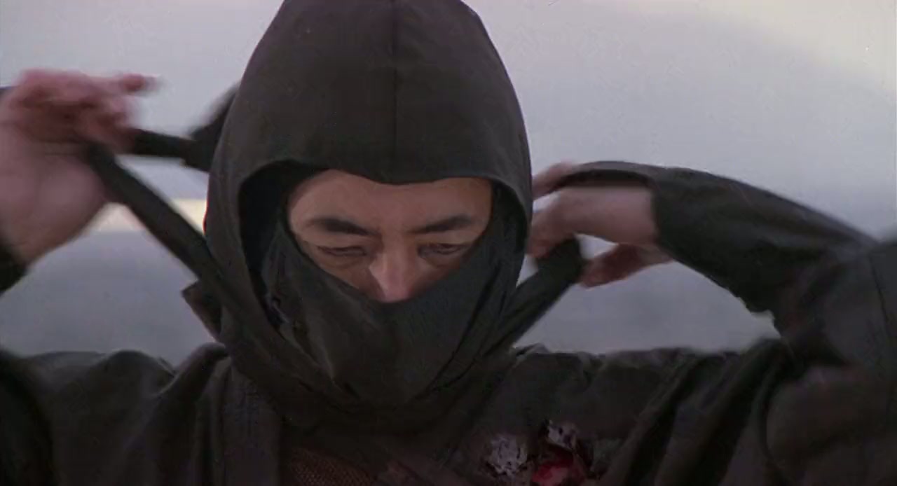 Revenge of the Ninja Screenshot