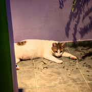 IMG 20260725 204153