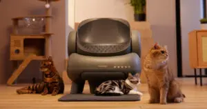 Neakasa M1 Plus: A Self-Cleaning Litter Box for Cat Owners