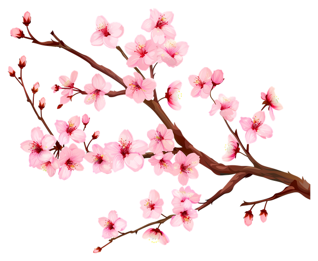 d8d6be53ca780a8e6fe79923003e32e4.png